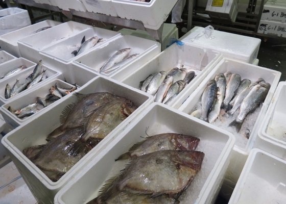 El reciclaje de poliestireno ha gandao gradualmente su popularidad en el mercado de pescados